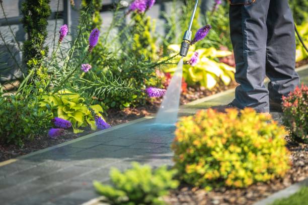 Best Gutter Cleaning  in Bremen, OH